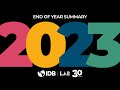 2023 Summary - IDB Lab