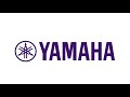 yamaha 891z