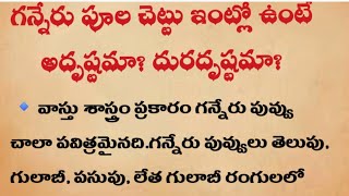 గన్నేరు పూల చెట్టు ఇంట్లో ఉంటే అదృష్టమా? దురదృష్టమా? తెలుసుకోండి || తాళపత్రనిధి || ధర్మ సందేహాలు