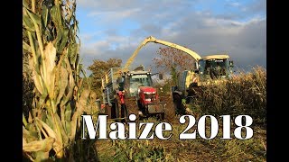 Gamble Bros Agricultural Contractors - Maize 2018