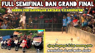 lomba kelinci piala presiden di lap katol barat || Full semifinal dan grand final..!!!