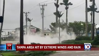 Downed trees, power lines in Tampa after Ian lashes Florida