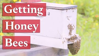 Acquiring Honey Bees | Beekeeping Academy | Ep. 32