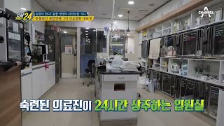 심장이 뛴다! 동물들의 종합병원, 2차 진료병원의 모든 것! | 관찰카메라 24 131 회