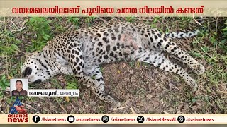 മലപ്പുറം കരുളായിൽ പുലി ചത്ത നിലയിൽ | Malappuram | Leopard Fear