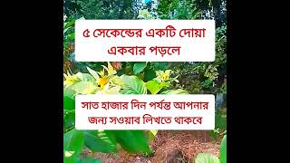 ৫ সেকেন্ডের একটি দোয়া একবার পড়লে রোজার দিন পর্যন্ত আপনার জন্য সব লিখতে থাকবে। #ইসলামিক_ভিডিও