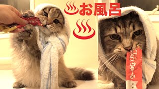 おさむと一緒に子猫は初めてのお風呂♨️