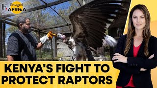 How Kenyan Sanctuaries Are Saving Birds From Going Extinct | Firstpost Africa