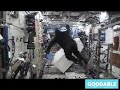 astronaut mark kelly once smuggled a full gorilla suit on board the international space station he d