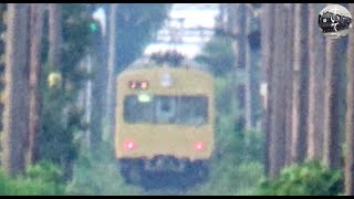 821Ｆ　２ヶ月ぶりに走る！　（近江鉄道）　　　　　　　　　　　　　　　　　巛巛