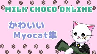 【ミルクチョコオンライン】可愛いミオキャット集