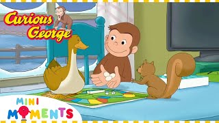 George and the Animal Party! 🎉🦆 | Curious George | 1 Hour Compilation | Mini Moments