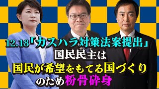 12月18日・カスハラ対策法案提出！「国民民主は国民が希望をもてる国作りのため粉骨砕身」#国民民主党 #カスハラ #ハラスメント