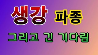 [텃밭농부.541]  생강파종하고 배색비닐로 멀칭하기.텃밭농사