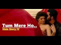 Tum Mere Ho | Jubin Nautiyal & Amrita Singh | Hate Story IV | Vivan Bhathena, Ihana Dhillon | Lyrics