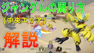 ジャングルの周り方を徹底解説！中央エリアの基本を覚えよう！【ポケモンユナイト】