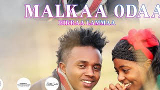 Birraa Lammaa New oromo music  Malkaa Odaa office video