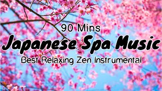 Download Lagu Beautiful Japanese Spa Music Relaxing Instrumental... MP3 Gratis