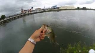 2016年7月15日　国道10号沿いの野池でバス釣り