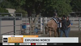 Horse therapy in Norco: SoCal Spotlight