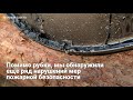 Томские леса рубят для Китая прикрывшись борьбой с пожарами