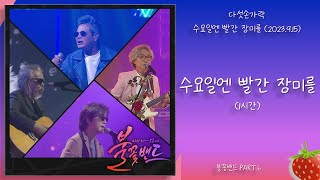 1시간-다섯손가락 – 수요일엔 빨간 장미를(불꽃밴드 PART.6)(2023.9.15.)-가사(Lyrics)