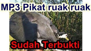 Playtube Pk Ultimate Video Sharing Website