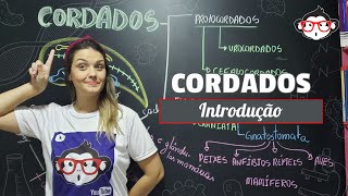 Cordados | Introdução 🐵📚