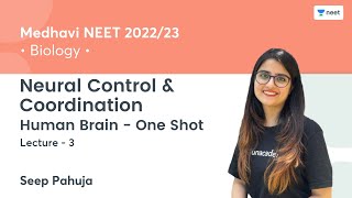 Neural Control \u0026 Coordination | Brain - One Shot | L3 | NEET 2022/23 | Seep Pahuja