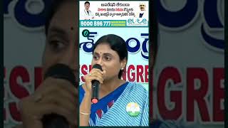 అసెంబ్లీ కి ఎందుకు వెళ్లరు..? | #ysjagan #yssharmila #ysrcp #congress | Oneindia Telugu