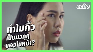 คิ้วสวย เพิ่มความมั่นใจ : ทำไมคิ้วเป็นมงกุฎของใบหน้า? | echo