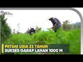 Tips Bertani Dengan Metode JADAM ORGANIK