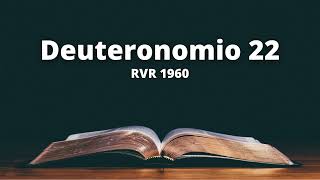 Deuteronomio 22 - Reina Valera 1960 (Biblia en audio)