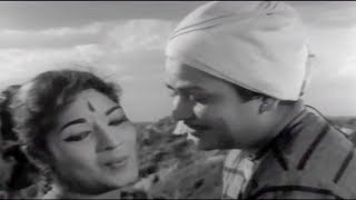 நெஞ்சம் மறப்பதில்லை | Nenjam Marappathillai Duet | P. B. Sreenivas, P. Susheela Hit Song