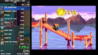 [WR] Donkey Kong Country 3 GBA 105% 2:34:27