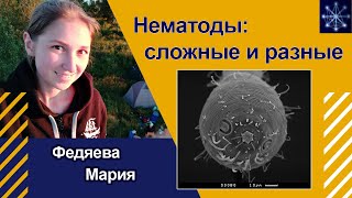 «Нематоды: сложные и разные». Мария Федяева