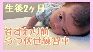 首すわり前の赤ちゃんのうつ伏せ練習の様子がかわいい！