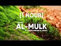 surah al mulk by sheikh mishari al afasy 1hour