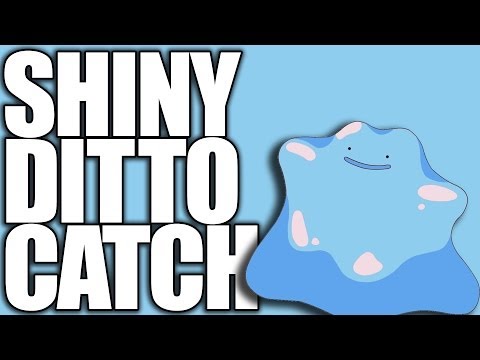 Pokemon XY - How to Catch a Shiny Ditto Using Pokeradar Pokemon XY - How to Catch a Shiny Ditto Using Pokeradar