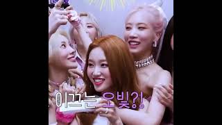 lippie being clingy with gowon