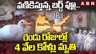 Bird Flu : వణికిస్తున్న బర్డ్ ఫ్లూ.. రెండు రోజుల్లో 4 వేల కోళ్లు మృ*తి| Kama Reddy News| ABN Telugu