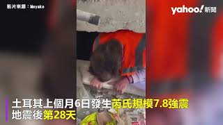 土耳其強震 堅強杜賓犬媽媽被困28天獲救 還生下3隻狗寶寶｜Yahoo Hong Kong