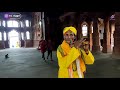 mathura vrindavan barsana goverdhan budget tour mathura vrindavan tour info by msvlogger