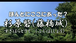 【ぶらり城気分 2021part4】杉原砦(藤橋城)　※氷河期世代の密かな楽しみ