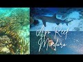 Apo Reef Mindoro | 3 Days in a Secluded Island | Freediving