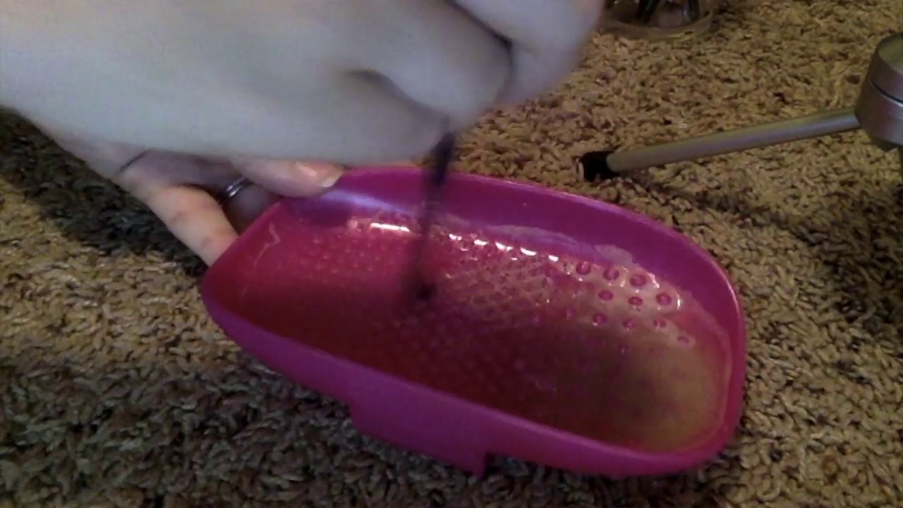 Asmr Cleaning Brushes Youtube