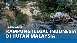 Kampung Ilegal Warga Indonesia di Hutan Malaysia, Langsung Digusur dan Penghuninya Ditahan