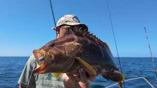 SLOW PITCH JIGGING and SOFT PLASTICS - Brisbane