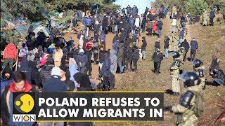 Poland: Over 33,000 illegal attempts to cross the border | WION | English News Update | Belarus