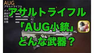 アサルトライフル「AUG小銃」利点と欠点｜荒野行動1分攻略